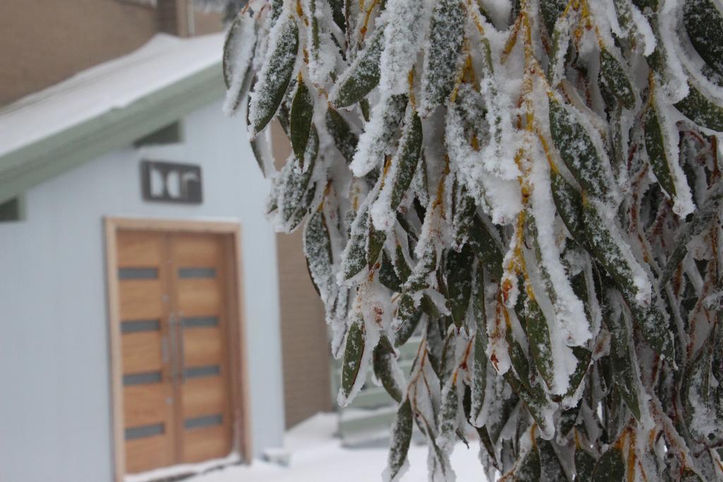 Alpine Retreat Mt Buller Hotel Маунт Булер Екстериор снимка
